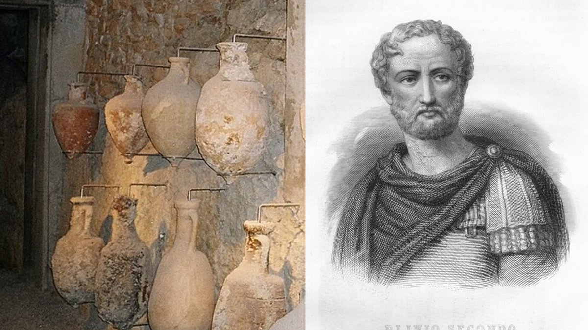 Archaeo - Histories tweet media