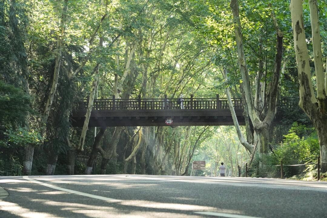 novita triana susant tweet media