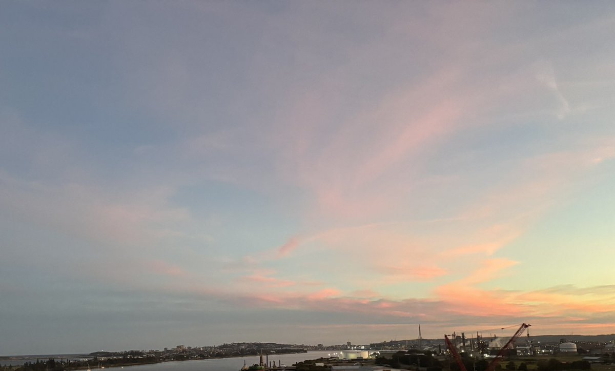 Charlie ‘MILFy’ Swinton - Melb 💚 tweet media