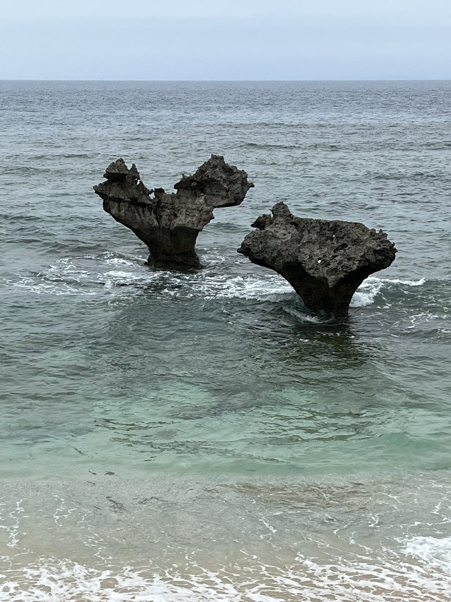 しいや tweet media