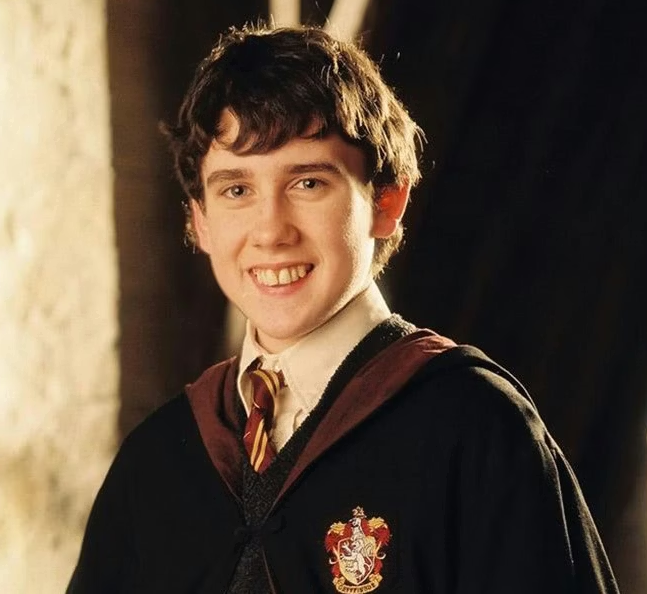 Templarpilled tweet media