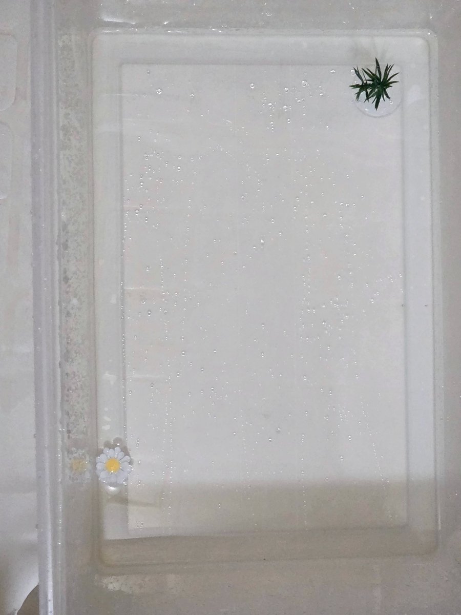 테풀잎 tweet media