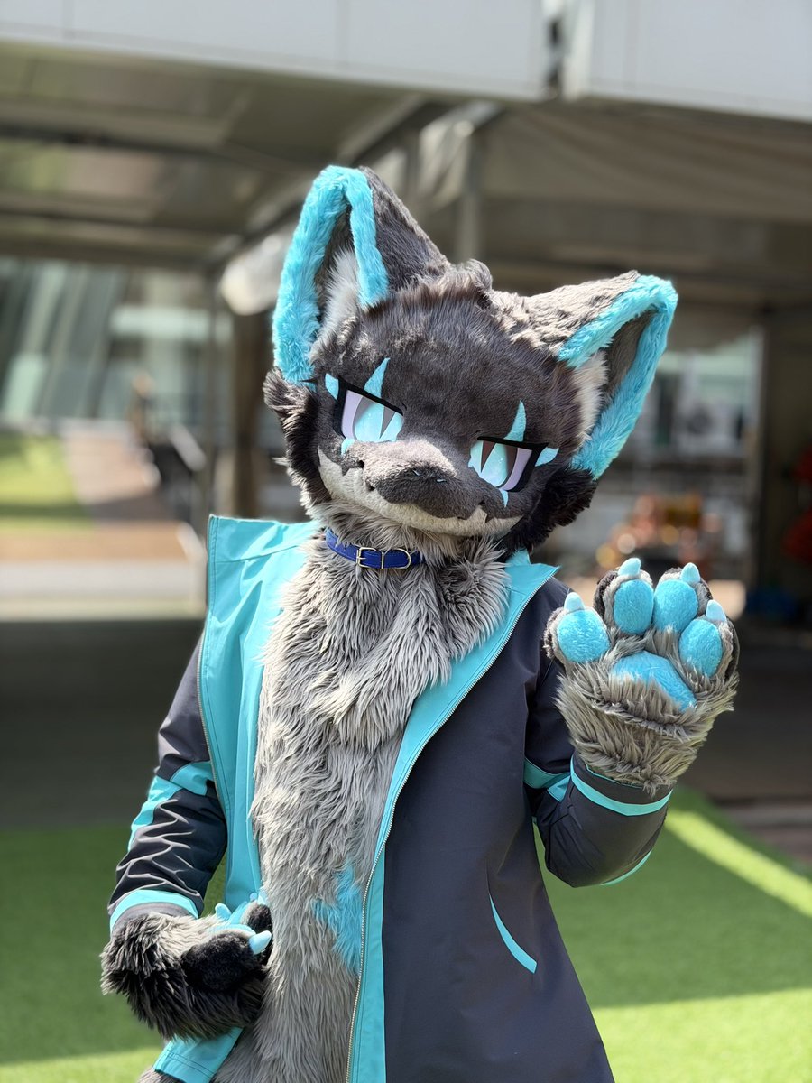 🐝 ブーウン 부웅 tweet media