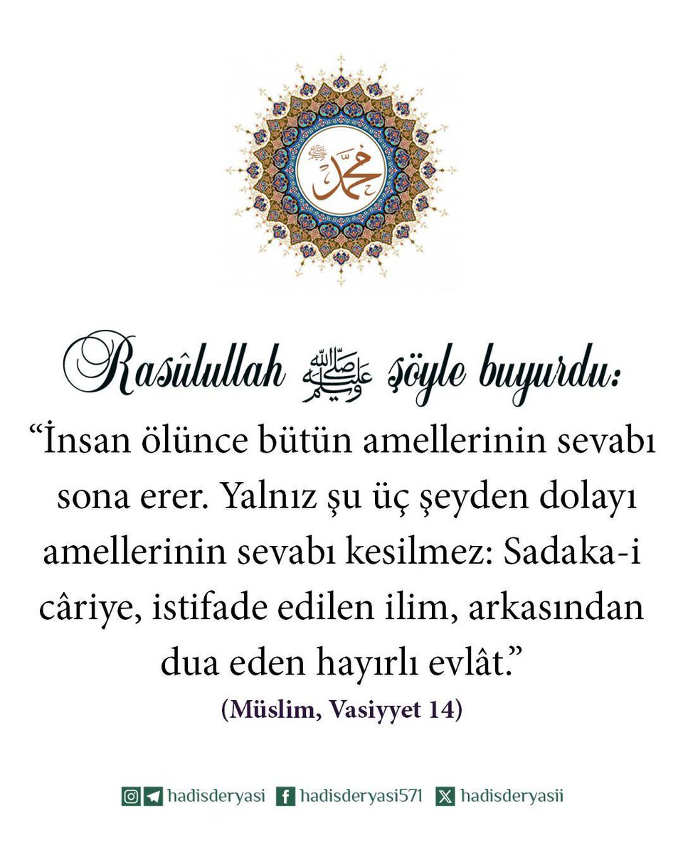 Hadis Deryası tweet media