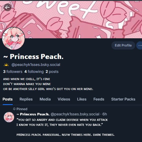 ~ 𝗣𝗿𝗶𝗻𝗰𝗲𝘀𝘀 𝗣𝗲𝗮𝗰𝗵. tweet media