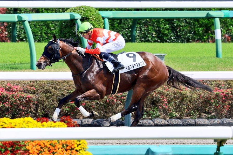 イッシー tweet media