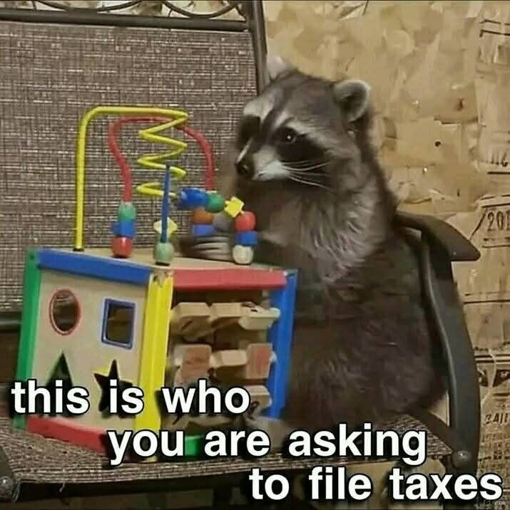 silly raccoons & pandas tweet media