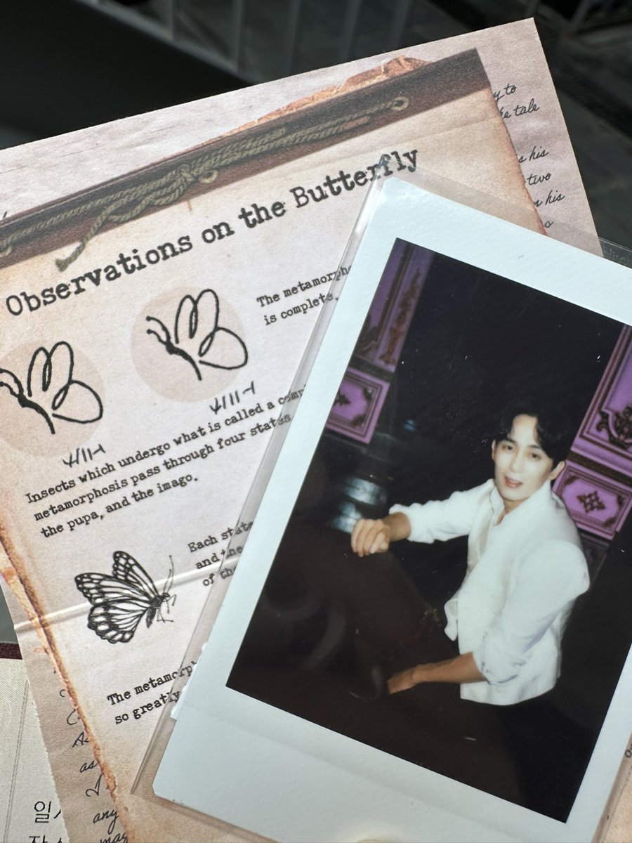 Lemon🦋🧑‍🏫🪭 tweet media