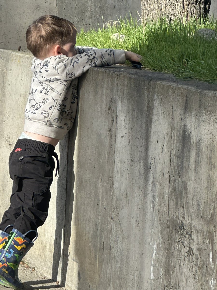 Levon Willson tweet media