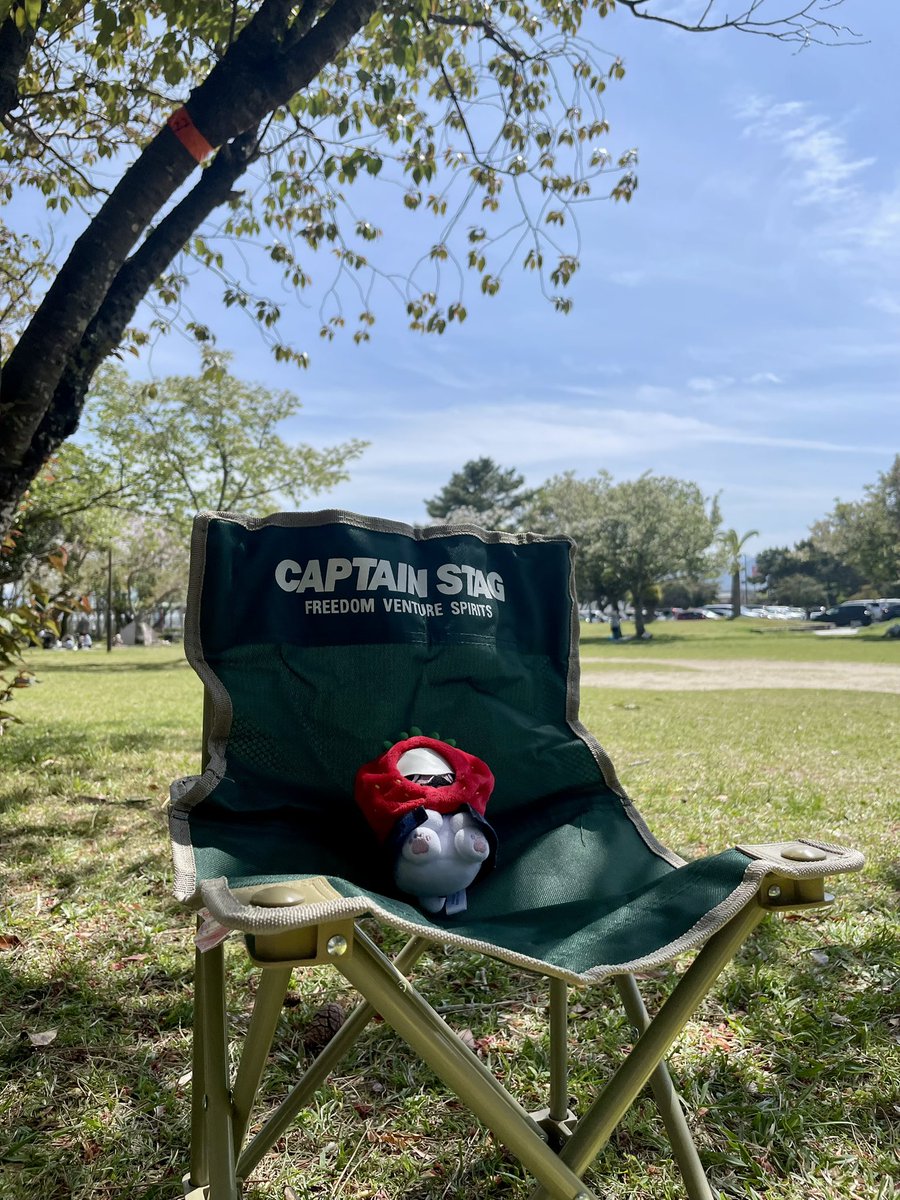 いもぷしゅ🍡 tweet media