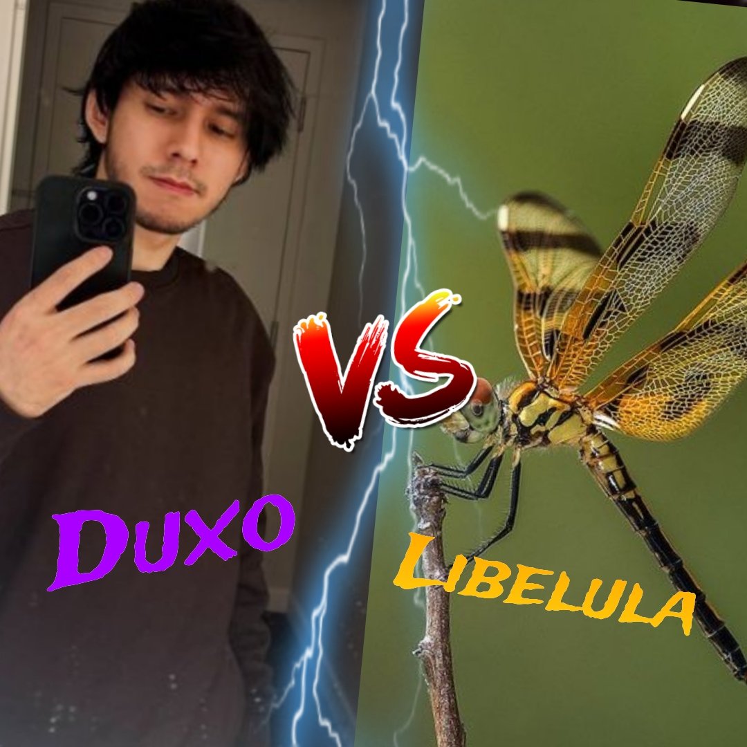 B.Tardes🦋 tweet media