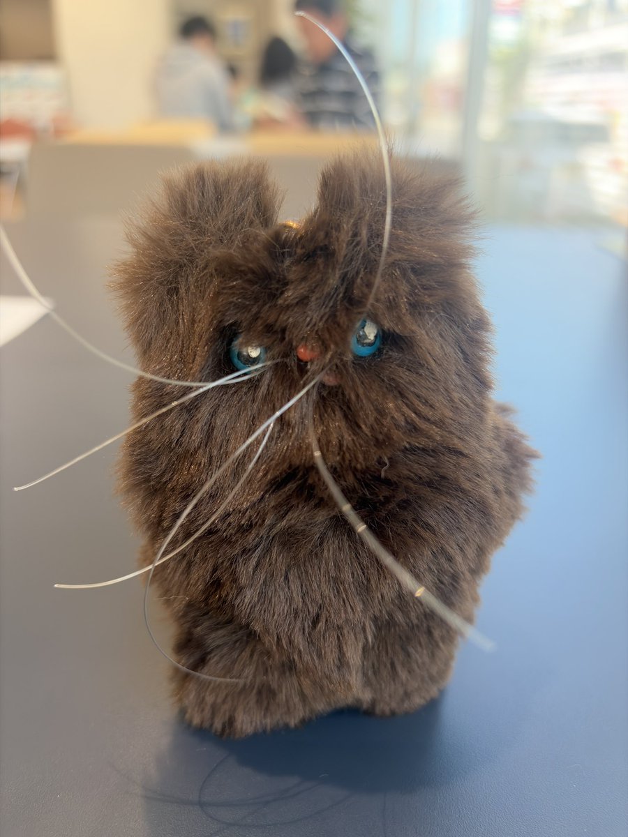 先週のニャンフェス
<a href="/mgmg092/">mgmg092/PERORINEKO!@4/5ニャンフェス</a>さんのお店にて新しいお友達をお迎え☺️お名前はきんかんちゃん
てんでばらばらなおひげ…💕