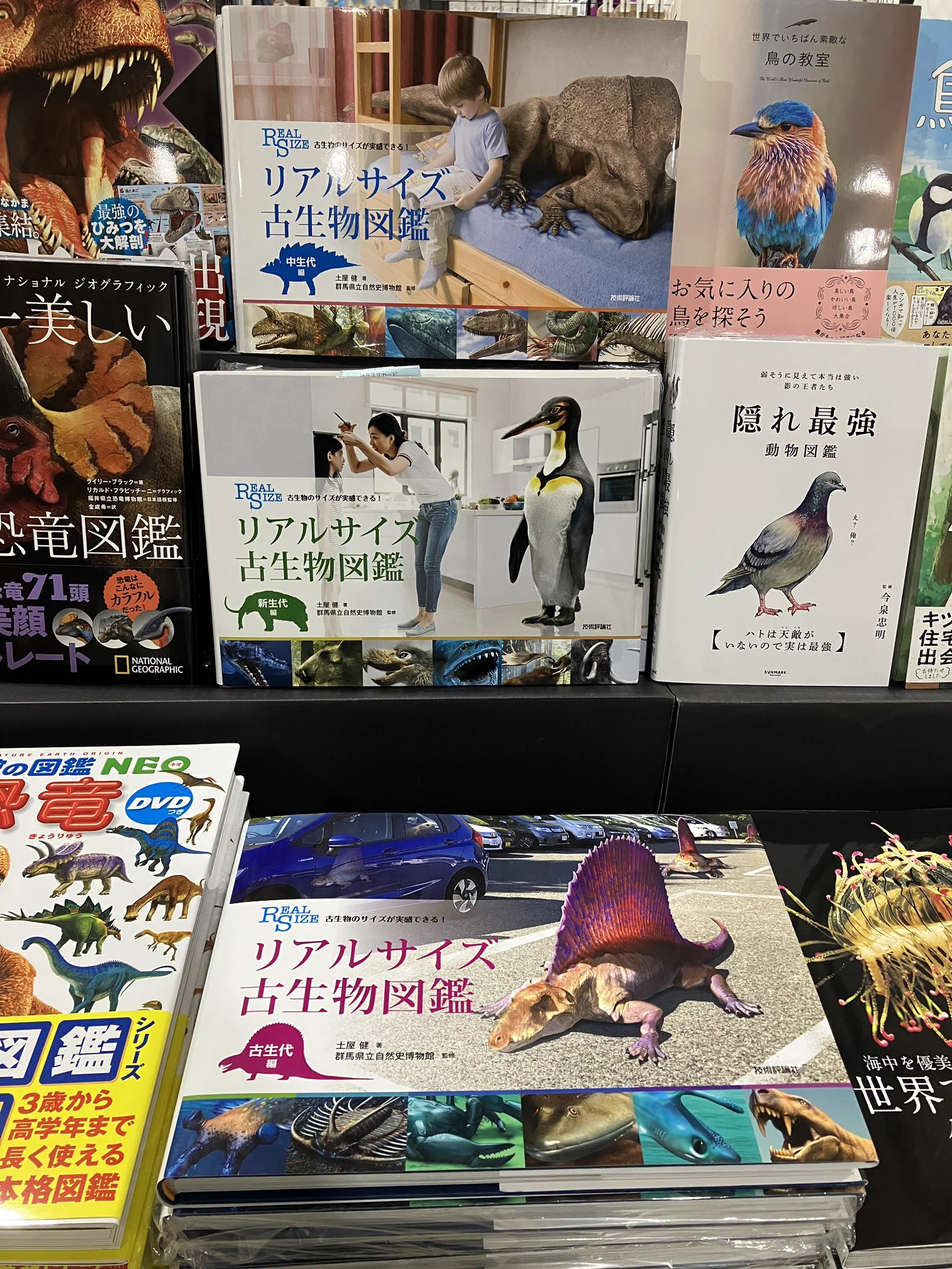 📚三洋堂書店【公式】 on X: 