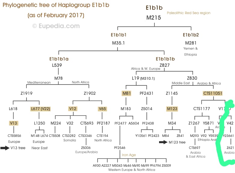 AddinMagd56967's tweet photo. According to the phylogenetic tree website Eupedia, the E-V42 mutation is concentrated in the Arabian Peninsula.
#ev42
#euopedia link
https://t.co/YvkjNA99ww
yfull link
https://t.co/lVXA3TPYSn https://t.co/sg9IX1mH4J