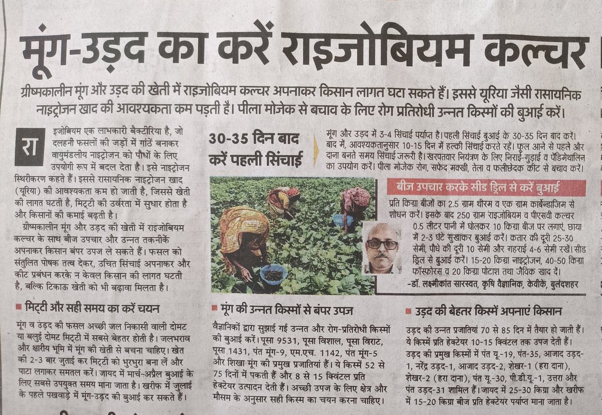 agrinformer's tweet photo. Farmers can reduce costs by adopting #Rhizobium culture in summer #mung bean and black #gram cultivation. https://t.co/7lc04ZWlPR