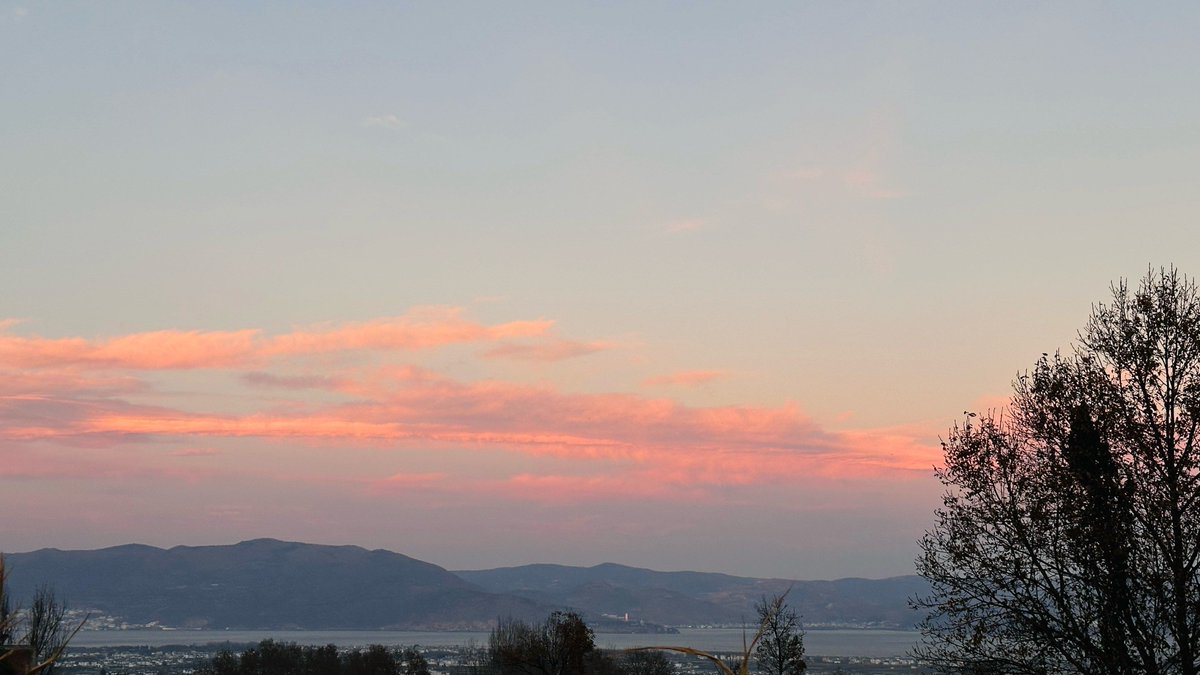 Pablo Augusto tweet media