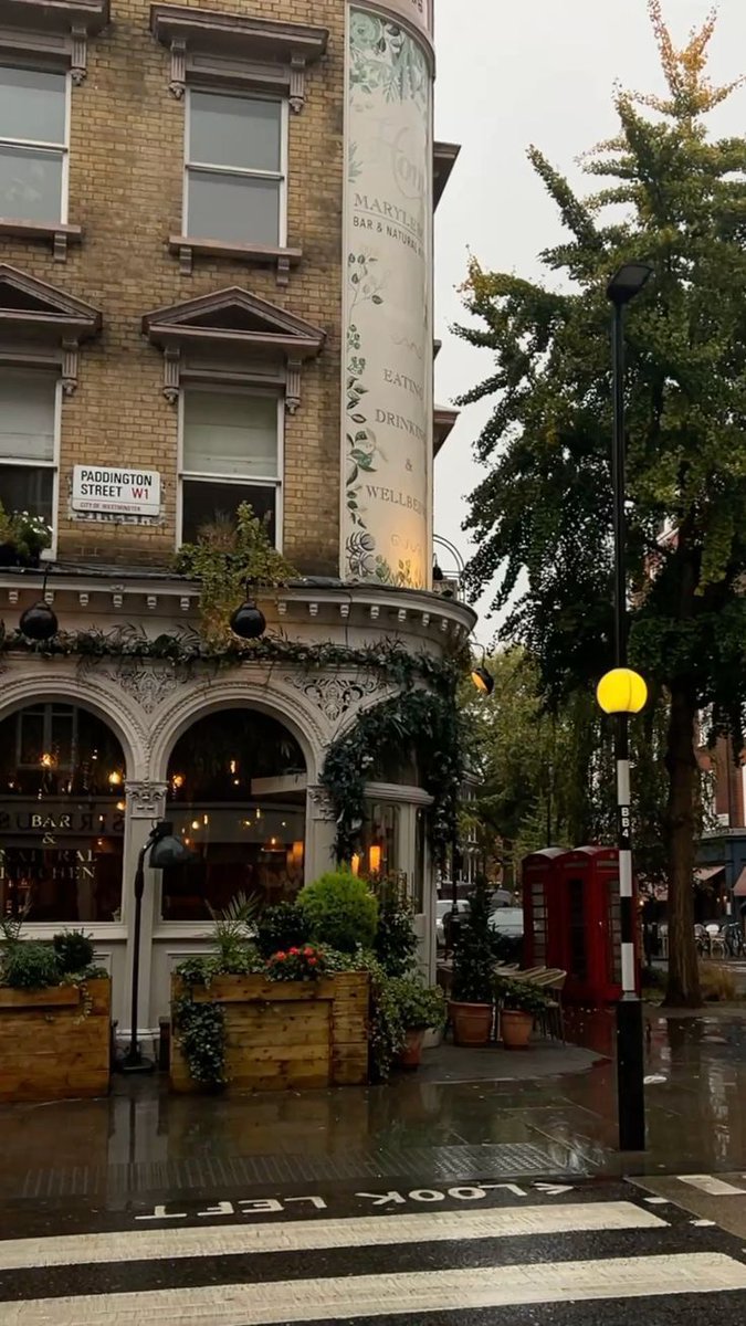 Beauty Explorer tweet media