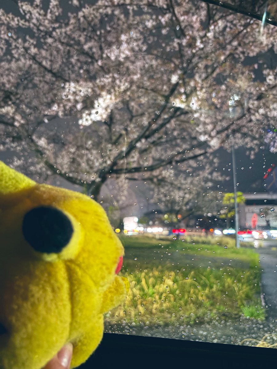 なまちゃん tweet media