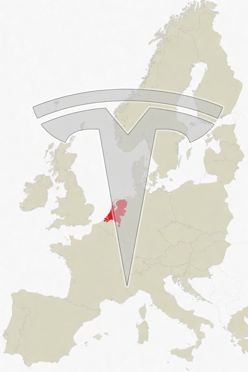 TeslaXander tweet media
