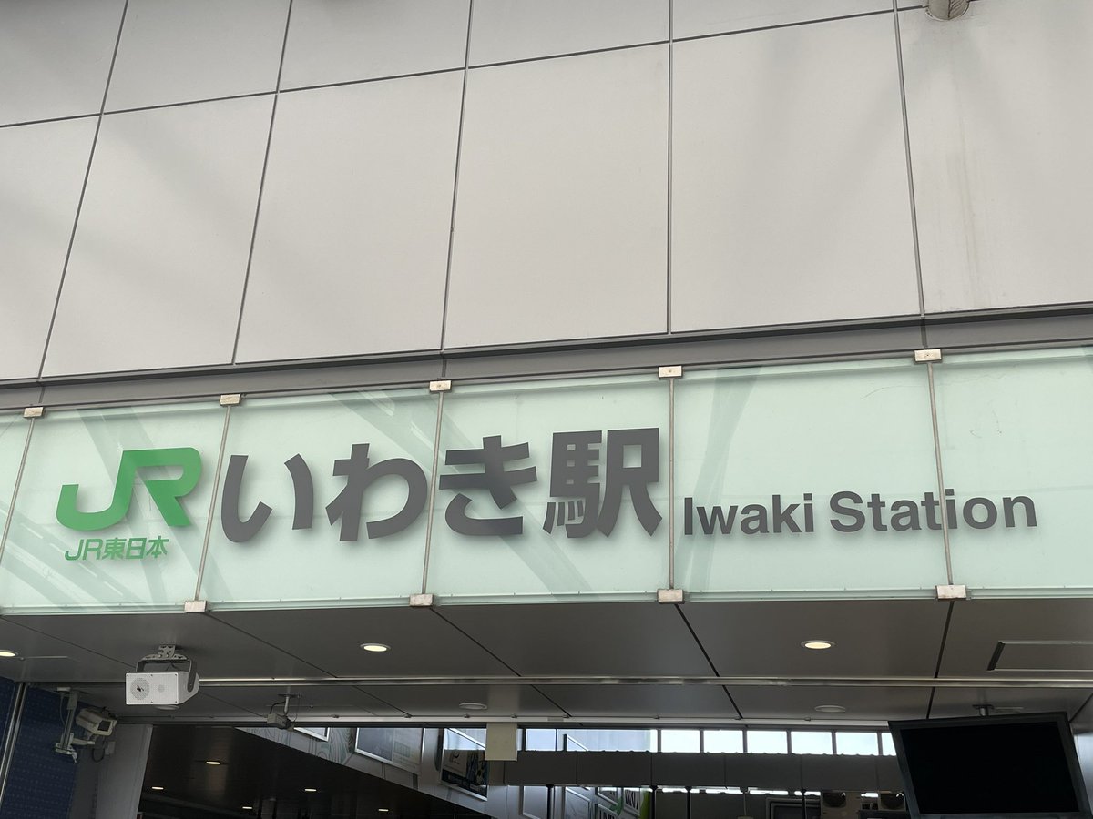 灯花(とうか) tweet media