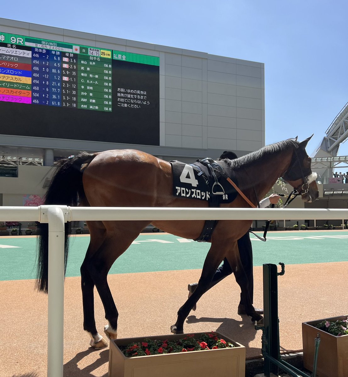 プレサージュリフト@一口馬主 tweet media