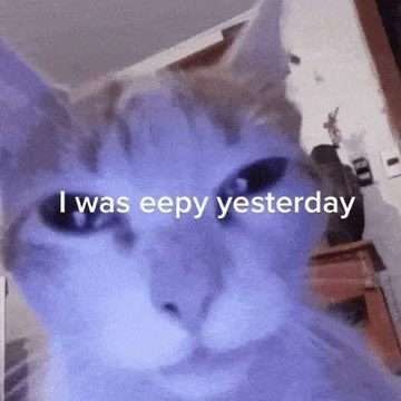 popular cat post tweet media