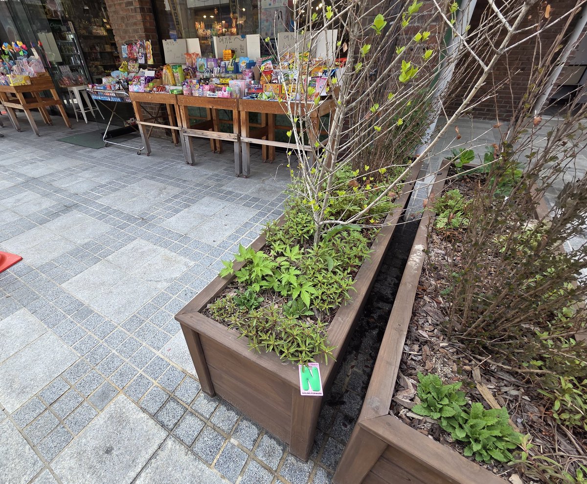 늉냥⬅️🚪메인트 회차 tweet media