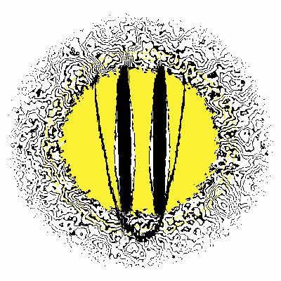 ✾࿋྄ིᤢᥴꪮꪮ𝕜ⅈꫀ࿋྄ིᤢ ✾ tweet media