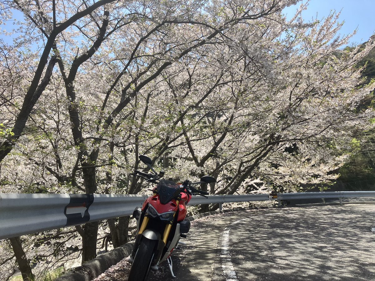 VW7DS4's tweet photo. ボチボチ慣らし運転です。
リアフェンダーDKBのカーボン
( ✌︎'ω')✌︎ https://t.co/mTttBaCasg
