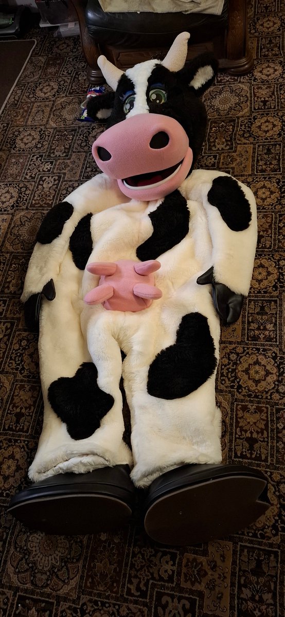 CollectorMascot's tweet photo. Maisie why you so skinny and flat. Its time for you to go to sleep now I will bring you back out in a couple of days. https://t.co/9UHB1ndYma