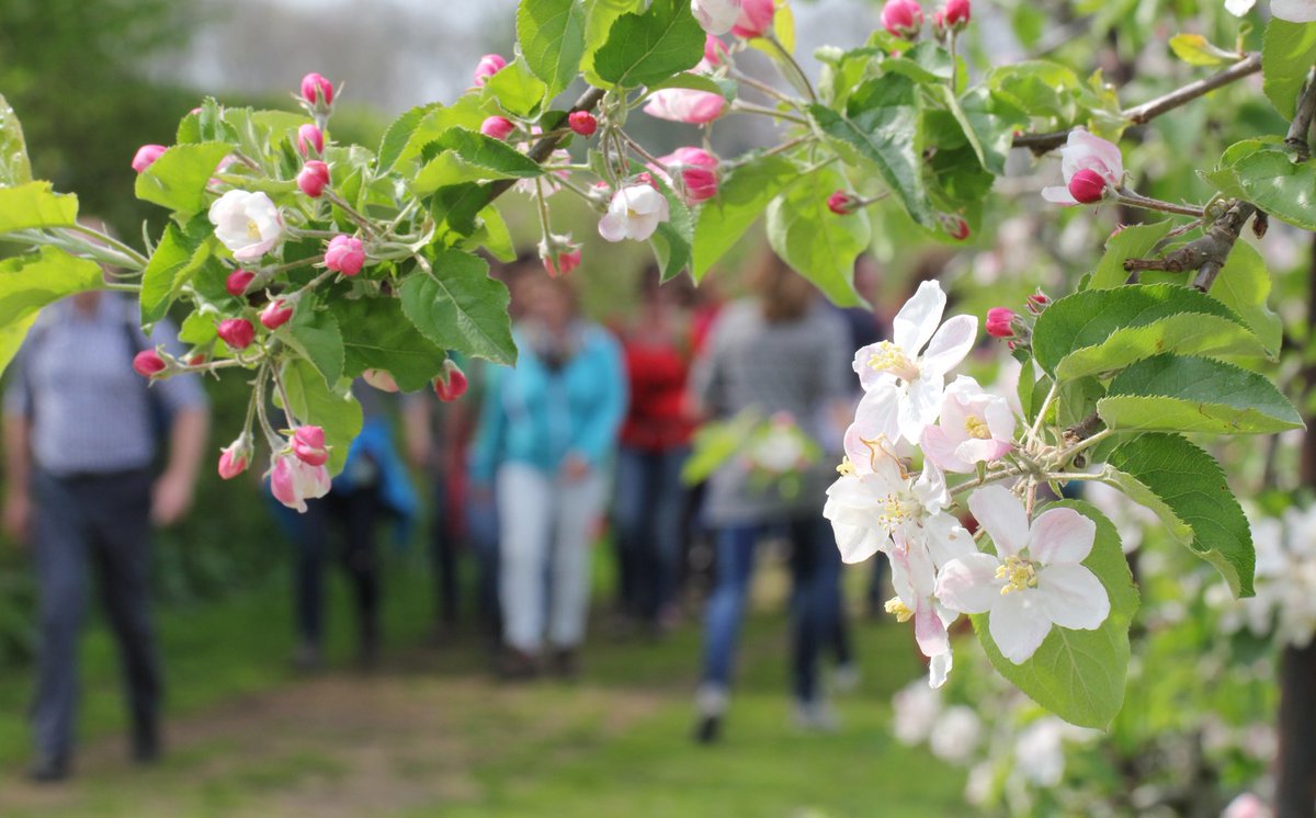 Ab Donker tweet media
