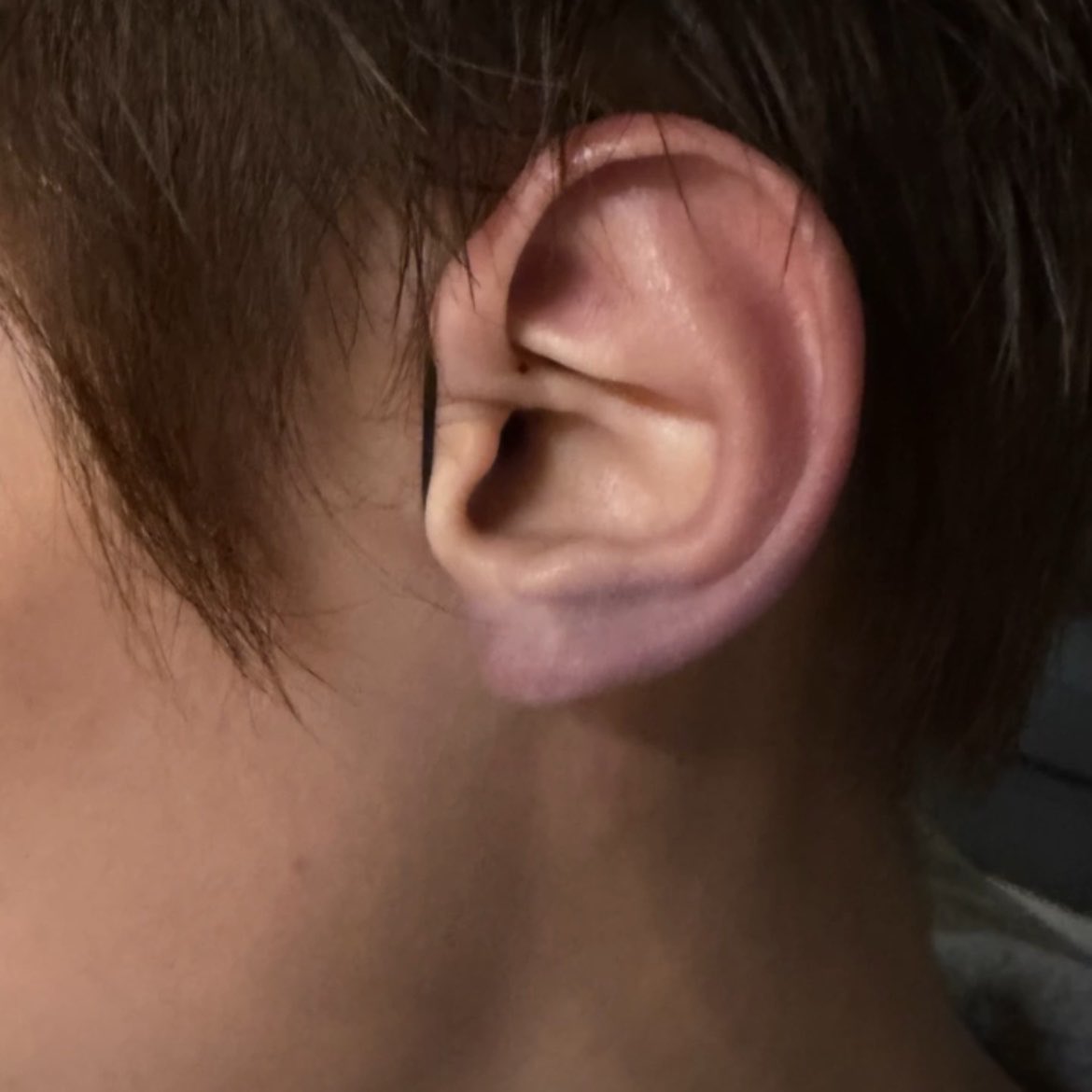 dailyjames tweet media