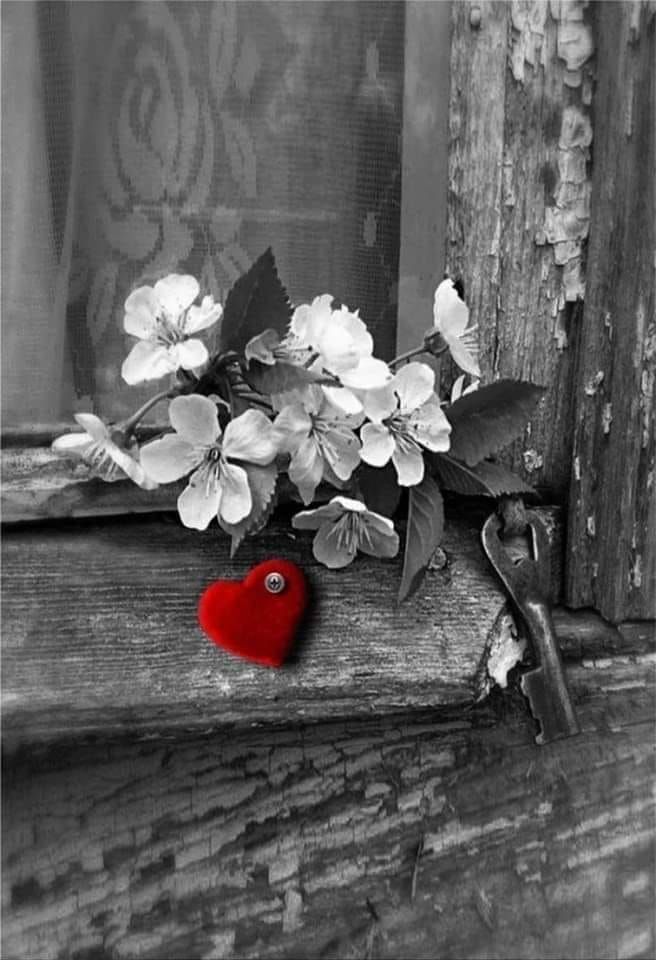 Ali Ghaddar tweet media