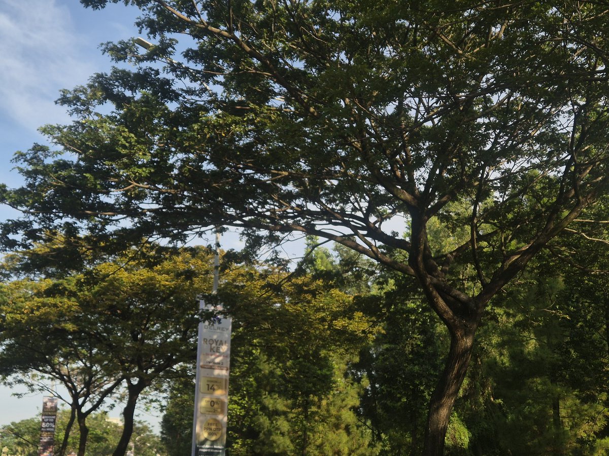 kyeomiepatootie tweet media