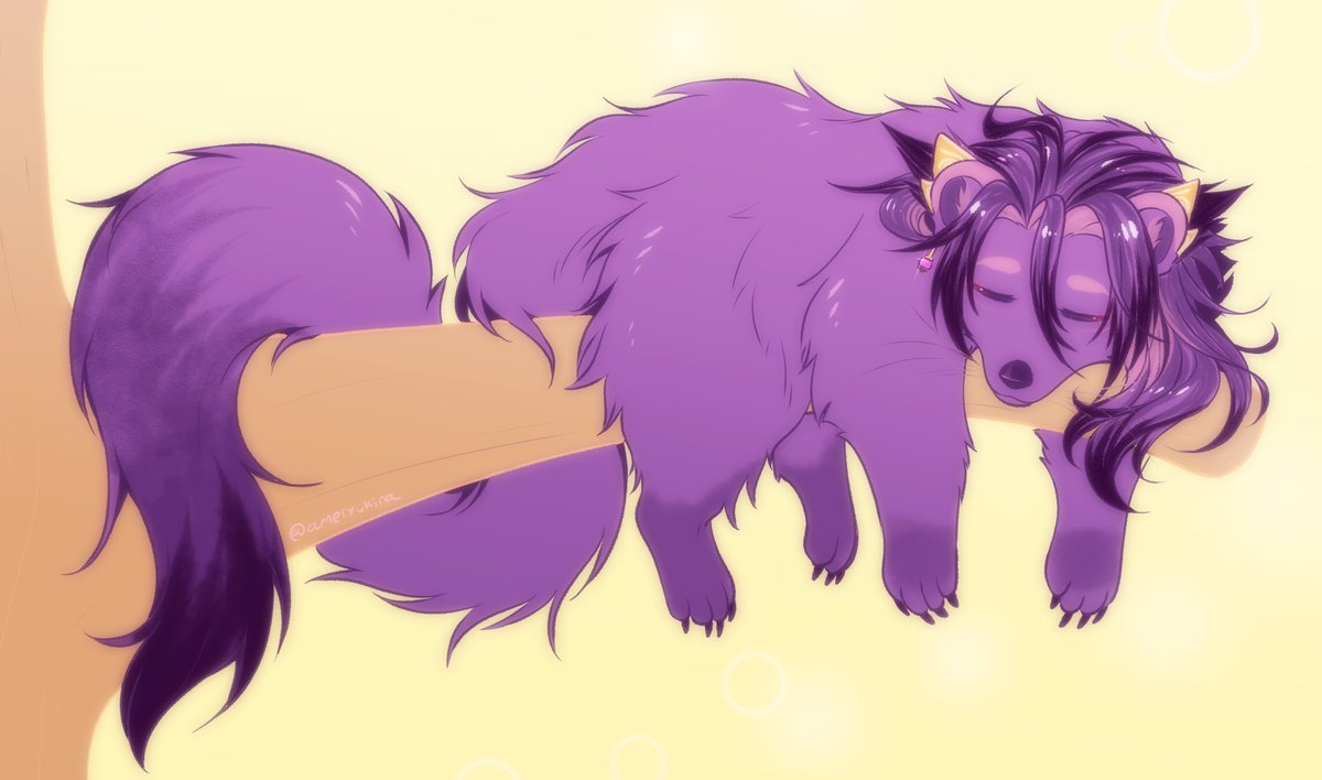 ryuki 🦊 tweet media