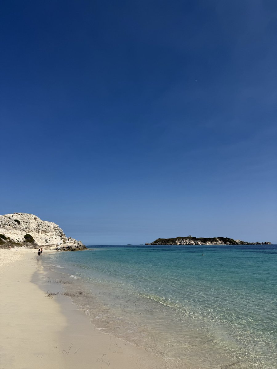 Degen Ape tweet media