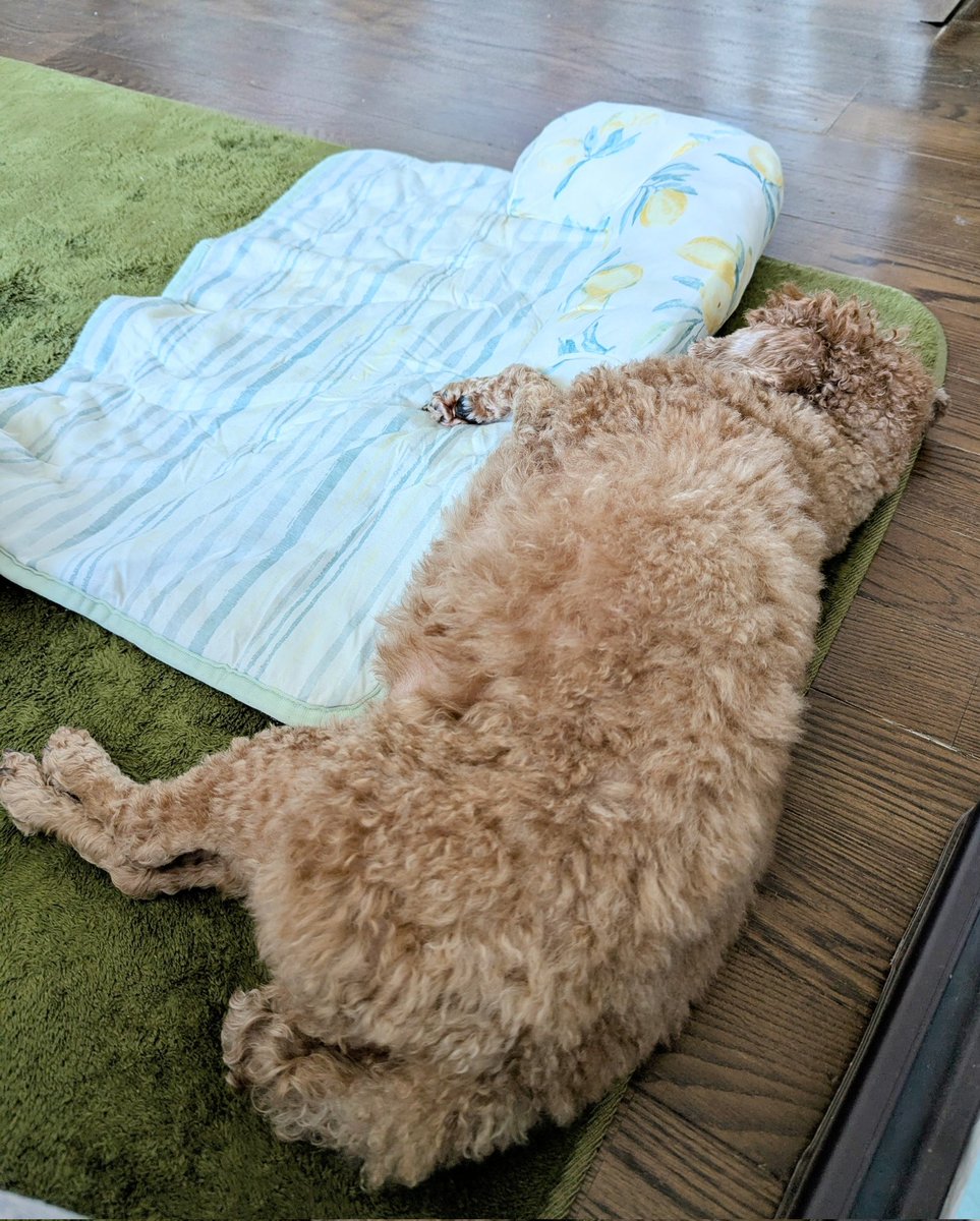 ナタリー tweet media