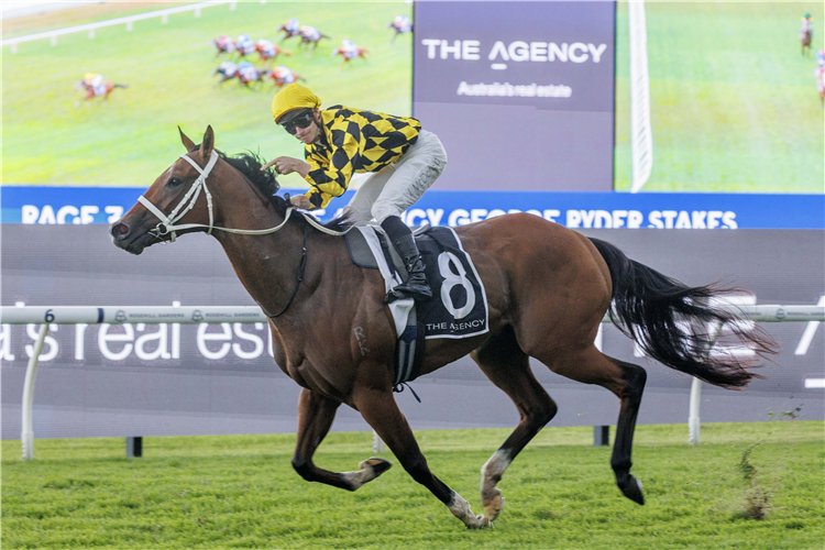 Racing and Sports tweet media