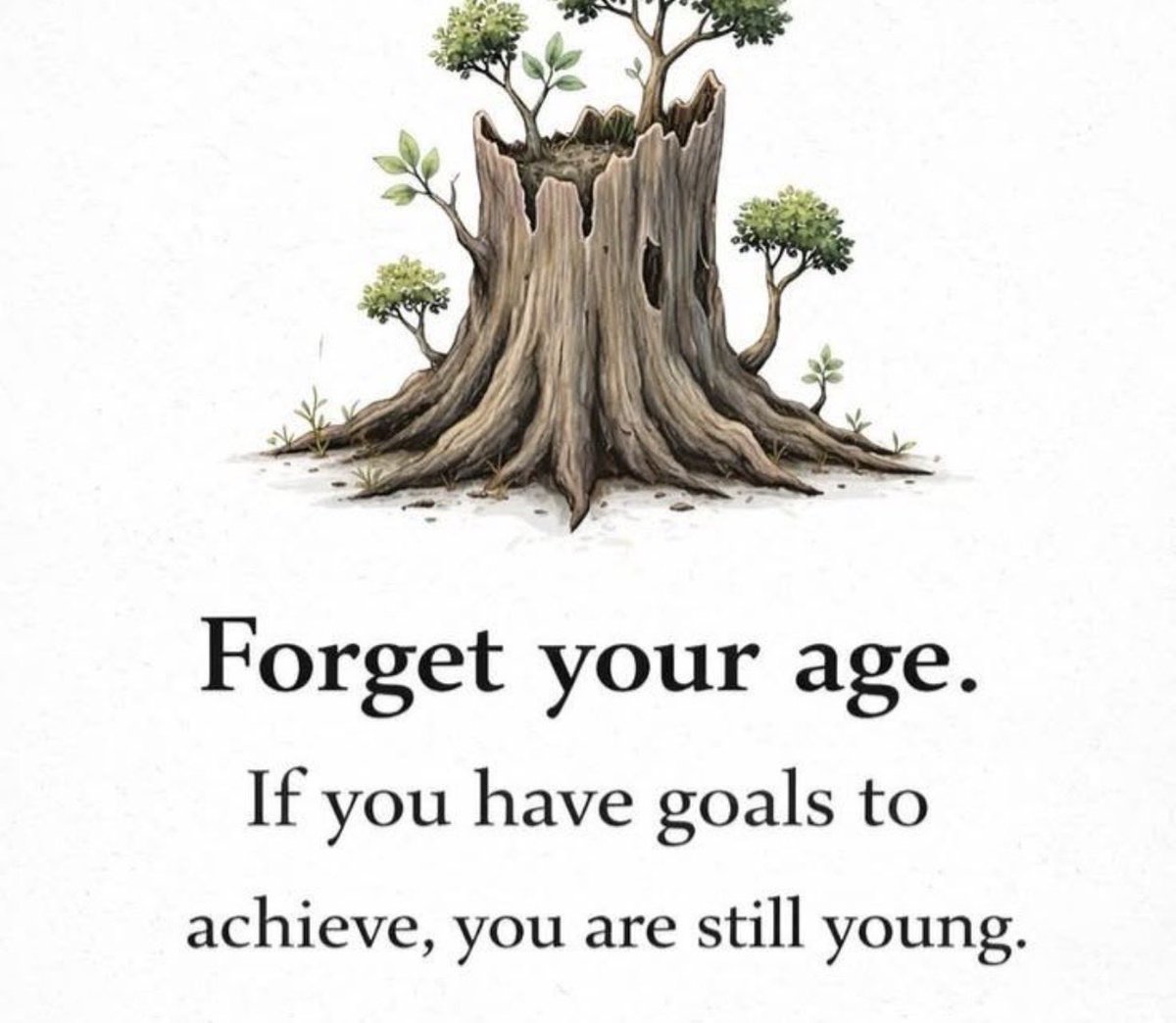 hisgrace203's tweet photo. Great things take time to unfold 🌸
Patience fuels perseverance ⏳
Consistency builds excellence 📈
And belief ignites achievement 🔥
Trust the journey and keep moving forward! 
           #dailymotivation     #Artemis2 https://t.co/C7Qa1jolhq