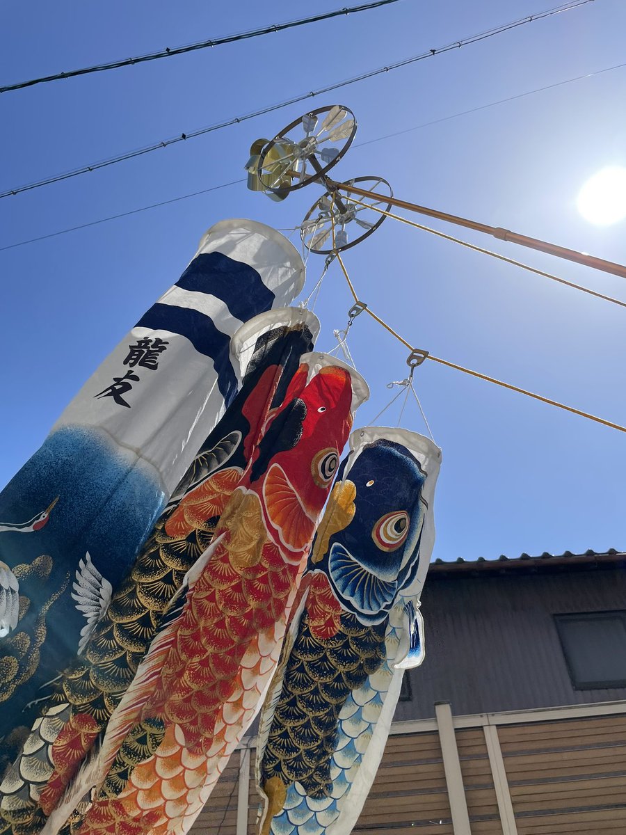 ryuuto3113t's tweet photo. 今年も元気に泳いでおります🎏 https://t.co/fgopIjrC1b
