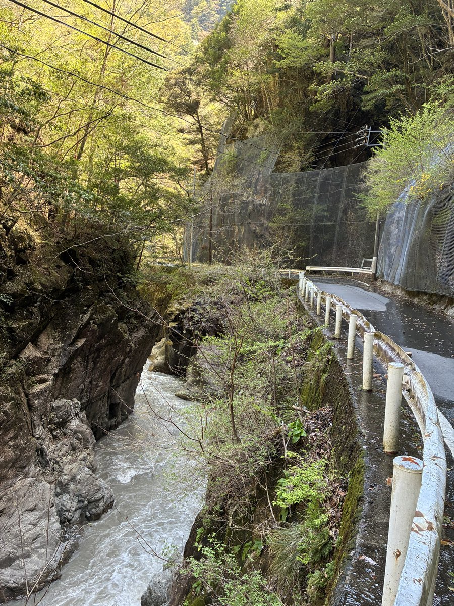 リッキーあんまん tweet media