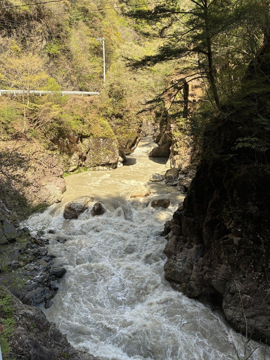 リッキーあんまん tweet media