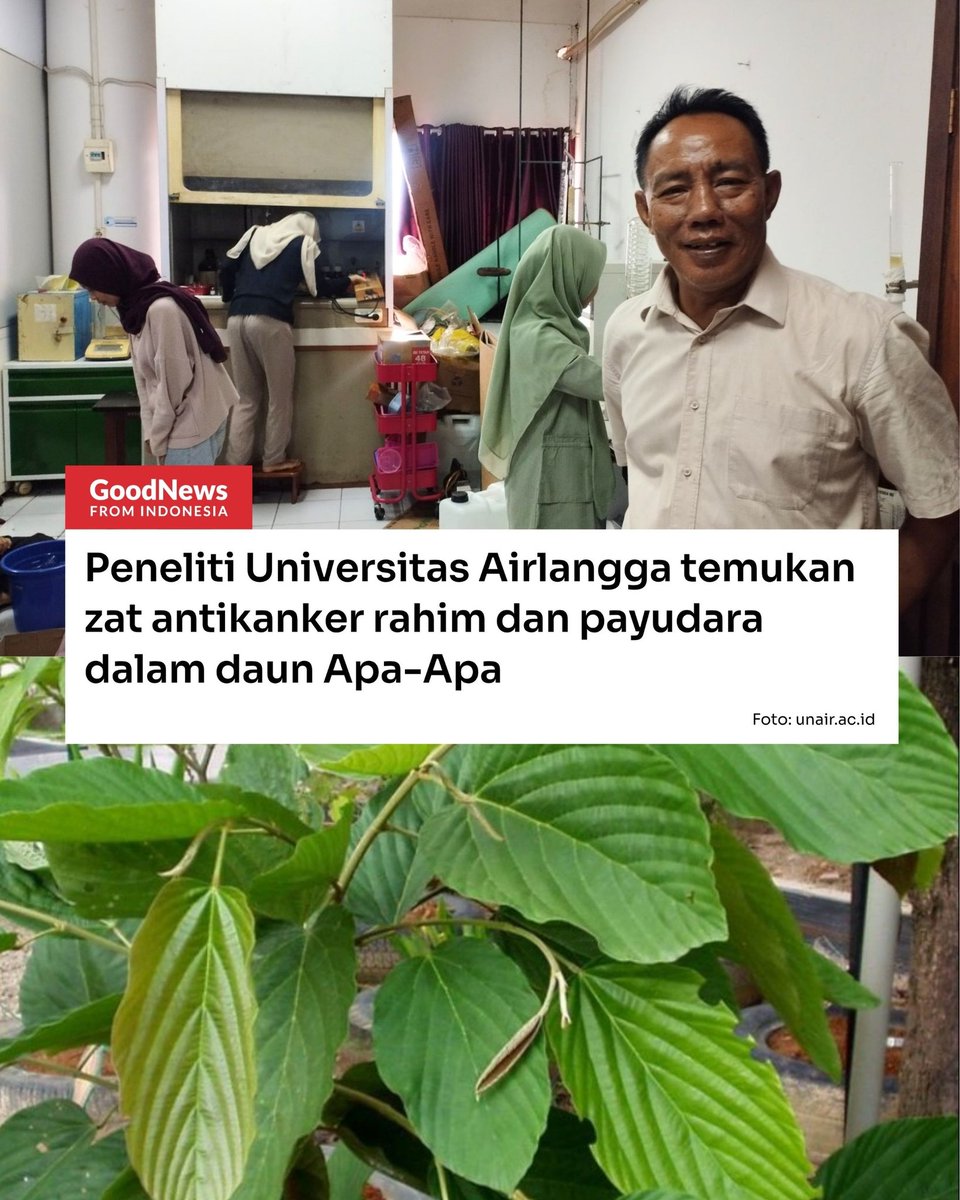 Good News From Indonesia (@gnfi) on Twitter photo 