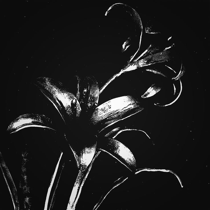 blaze ♪ tweet media