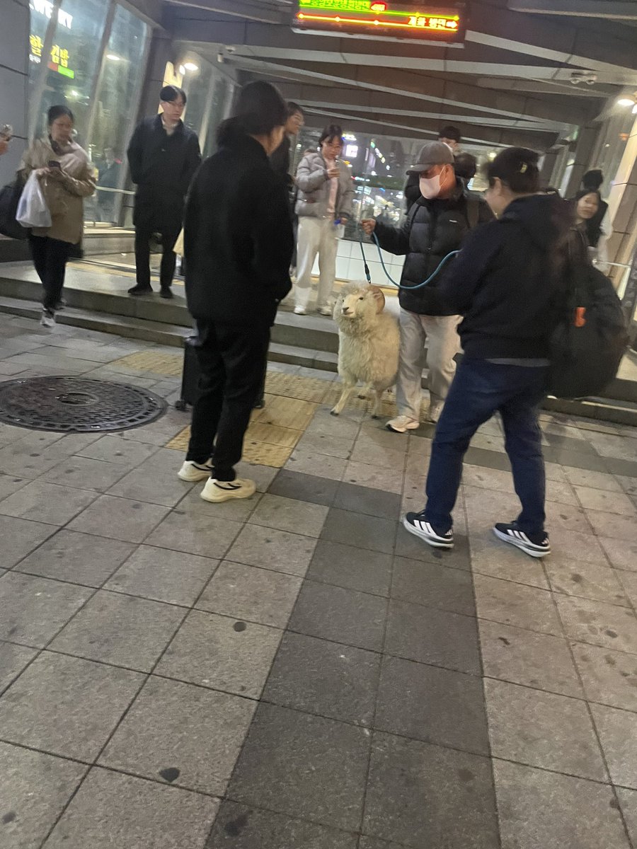 랴 tweet media