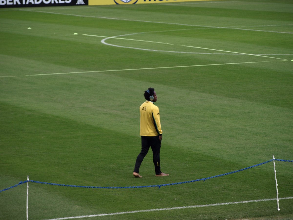 emmanuel ramoa tweet media