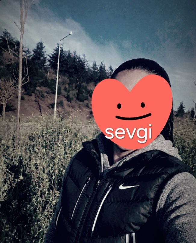 Sevgi tweet media