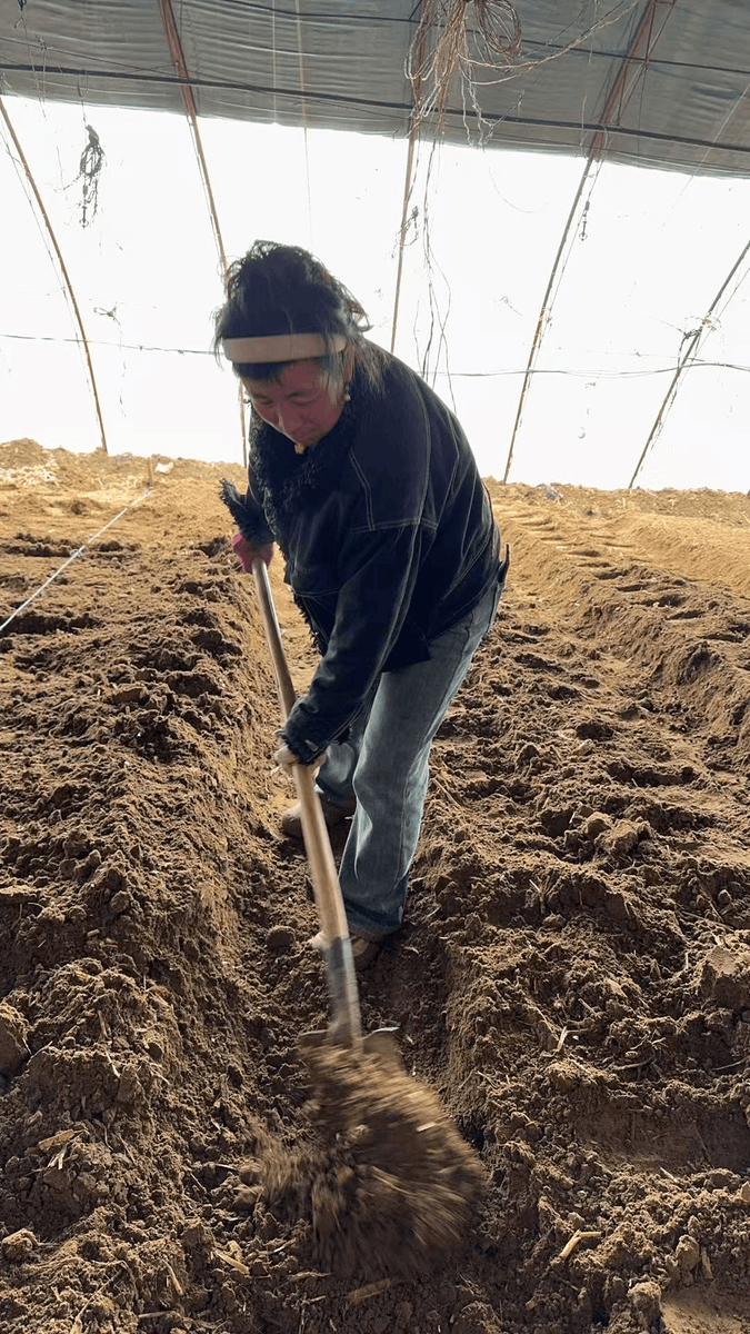 Lucas R de G Simões  tweet media