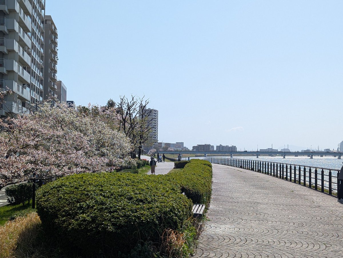 駿河の民 tweet media