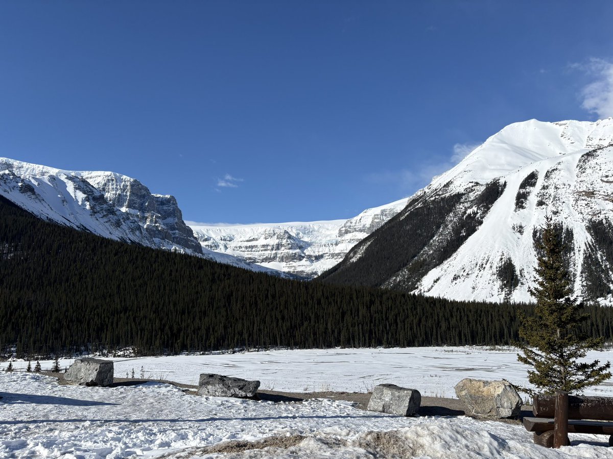 Eagle with a Goatee🍺🥩 tweet media